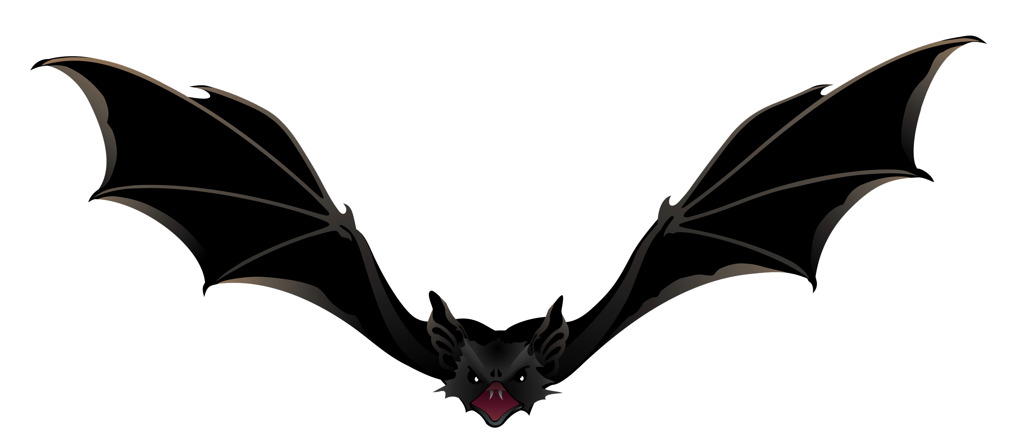 Detail Bat No Background Nomer 17