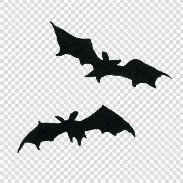 Detail Bat No Background Nomer 40