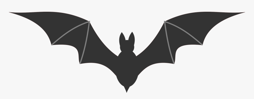 Detail Bat No Background Nomer 42