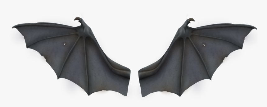 Detail Bat No Background Nomer 43