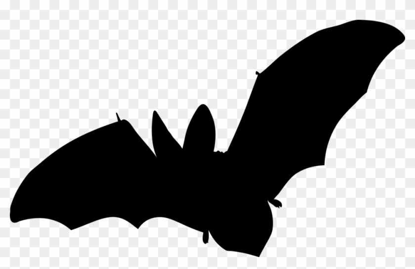 Detail Bat No Background Nomer 48