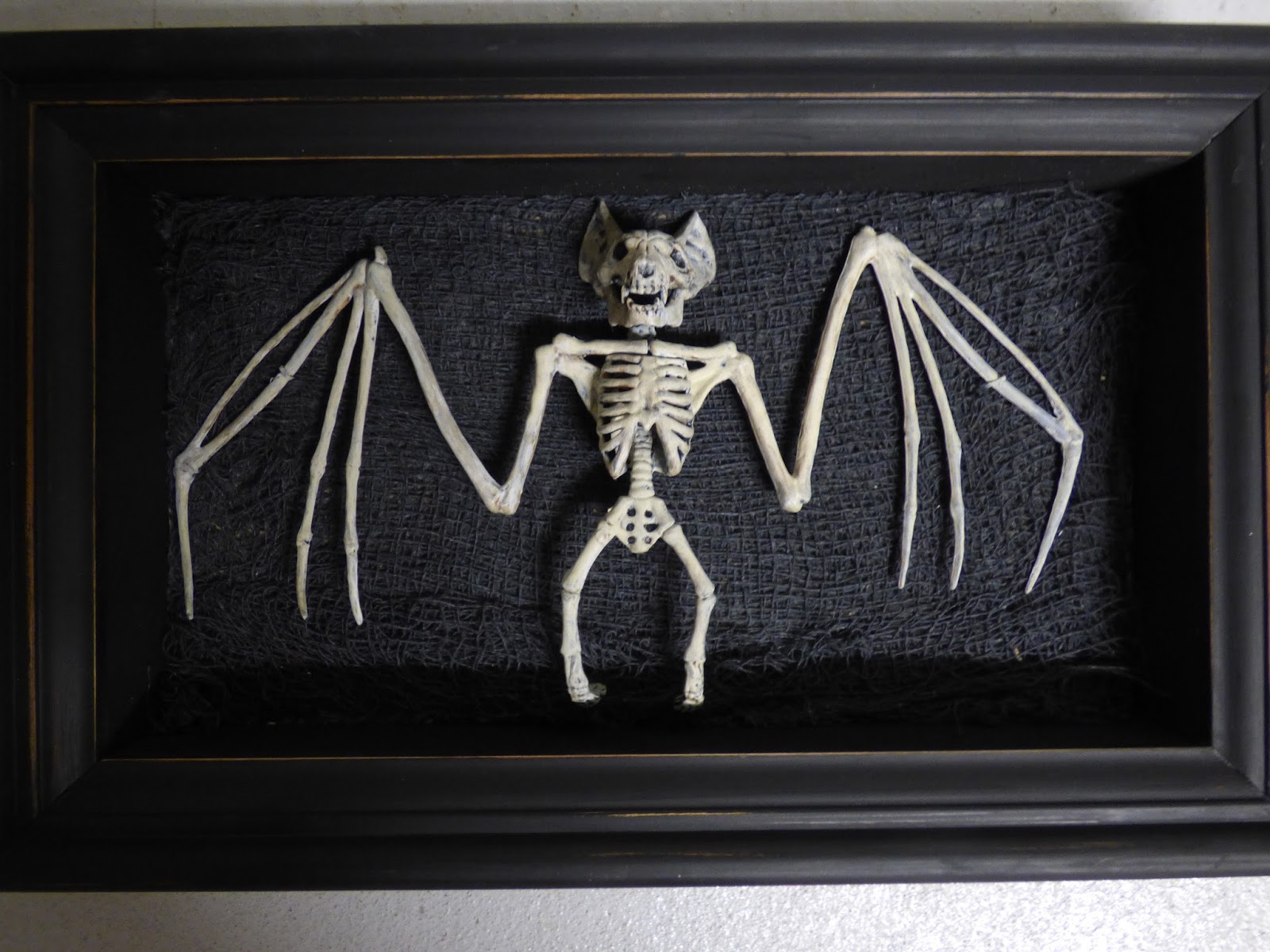 Detail Bat Skeleton Framed Nomer 53