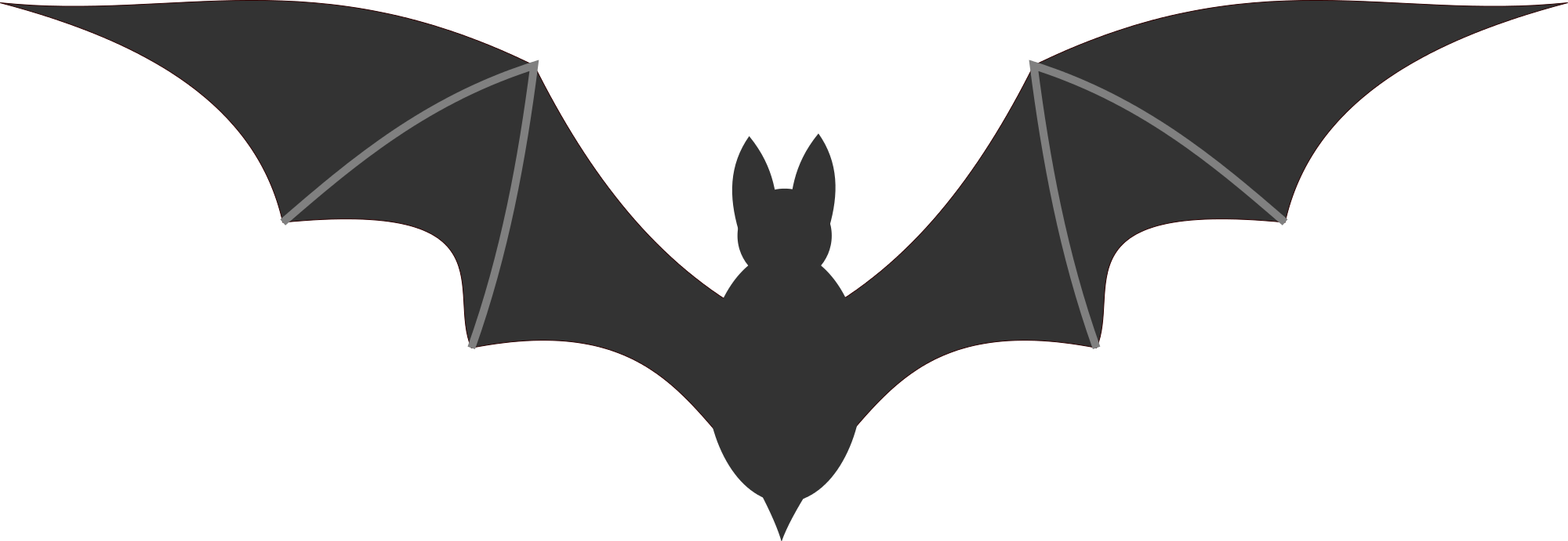 Detail Bat Transparent Nomer 28