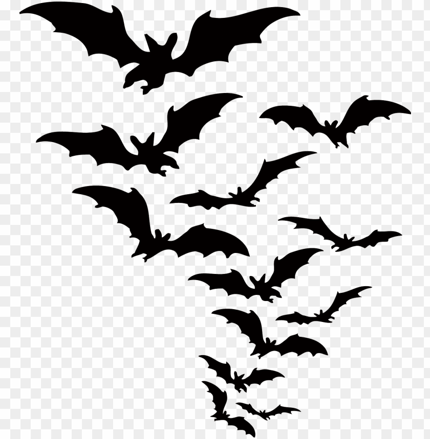 Detail Bat Transparent Background Nomer 19