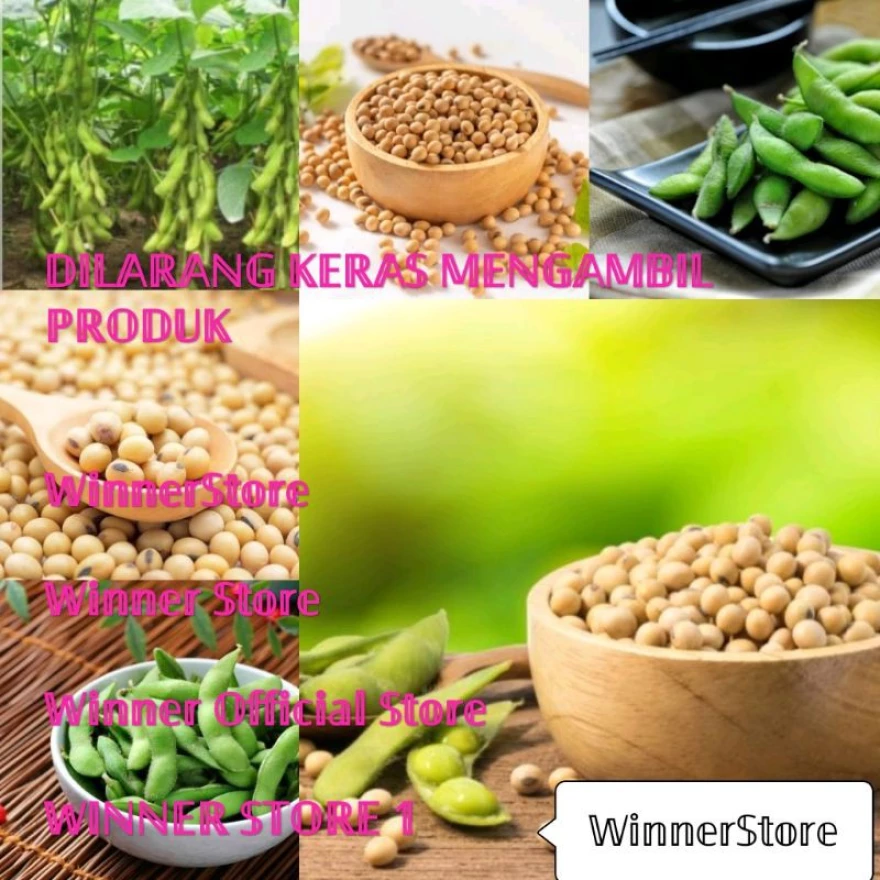 Detail Batang Kacang Kedelai Nomer 30