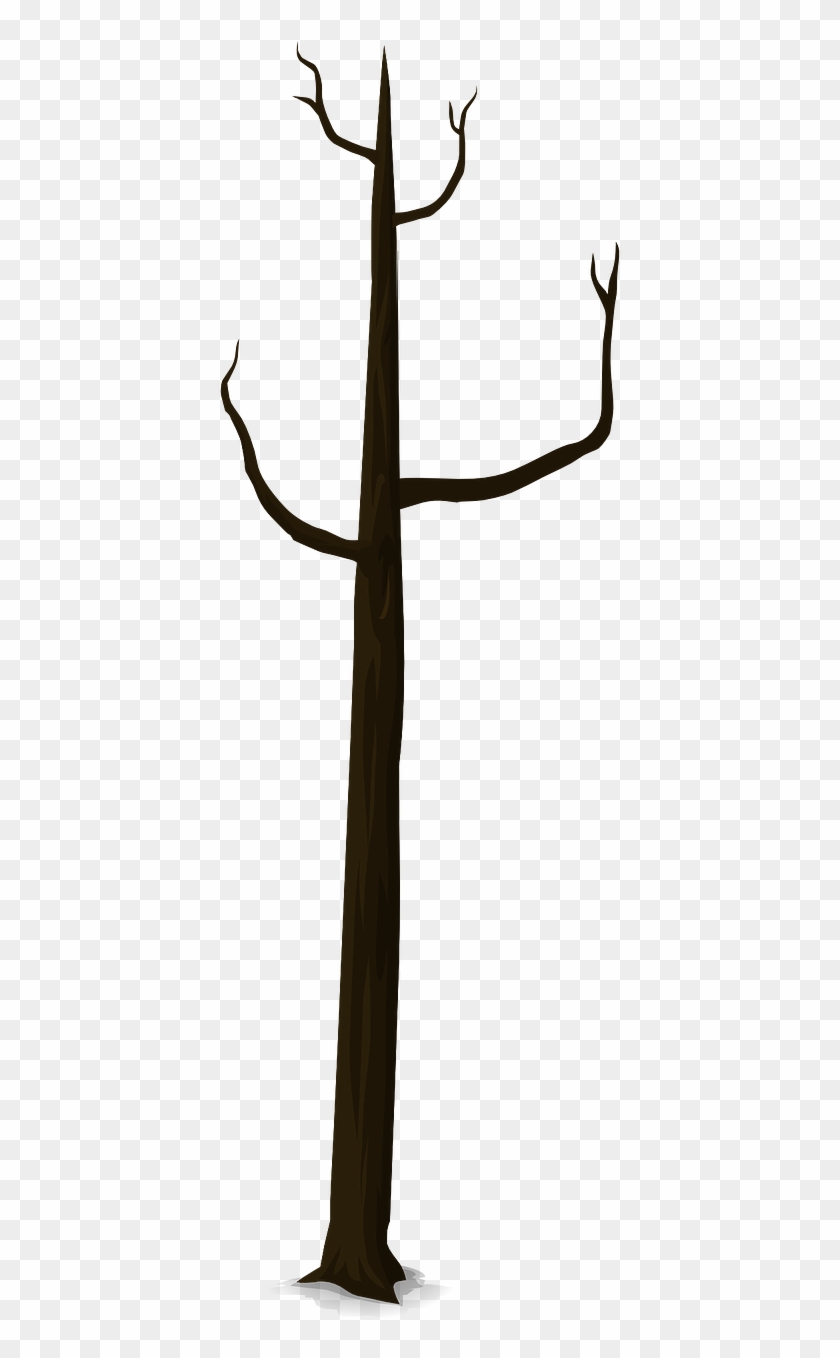 Detail Batang Pohon Cartoon Nomer 6