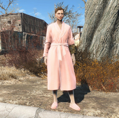 Detail Bathrobe Fallout 4 Nomer 3