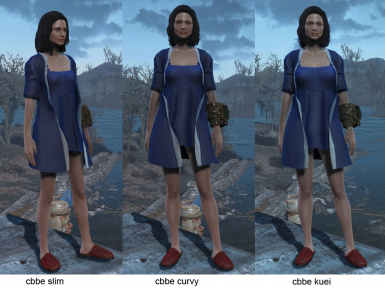 Detail Bathrobe Fallout 4 Nomer 5