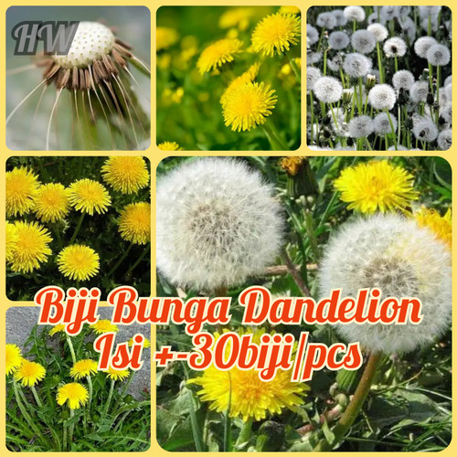 Detail Batik Gambar Bunga Dandelion Nomer 30