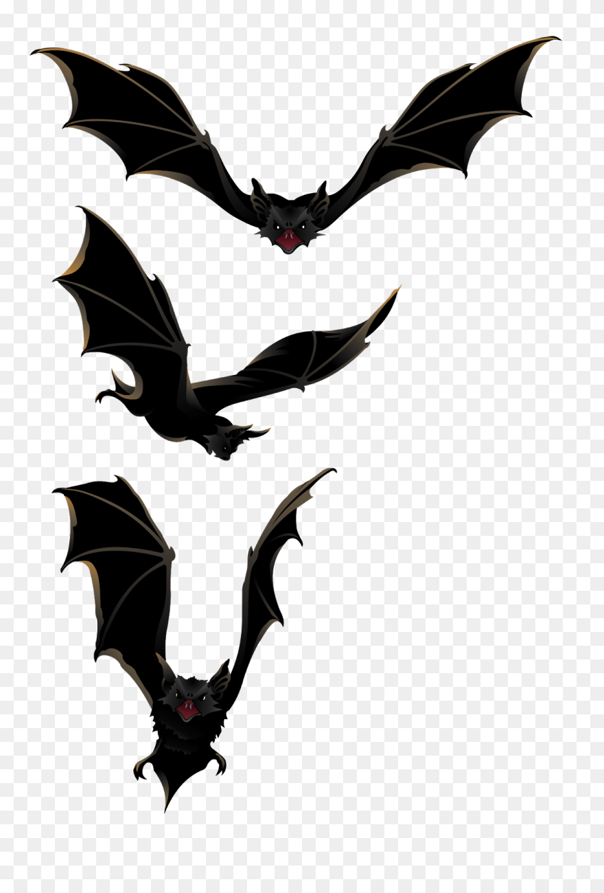 Detail Bats Downloads Nomer 10