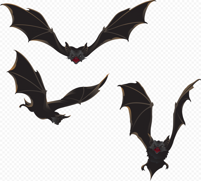Detail Bats Png Nomer 14