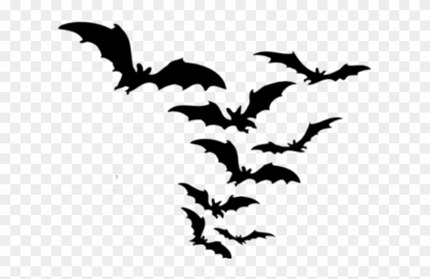 Detail Bats Png Nomer 16