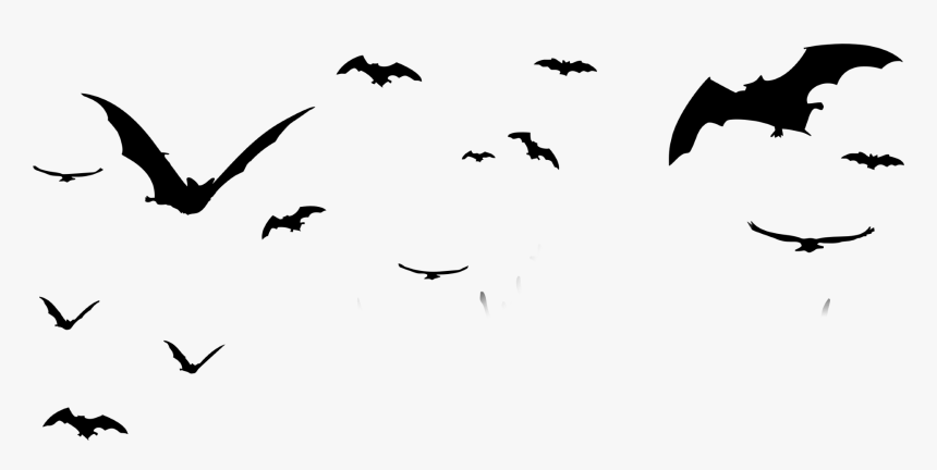 Detail Bats Png Nomer 17