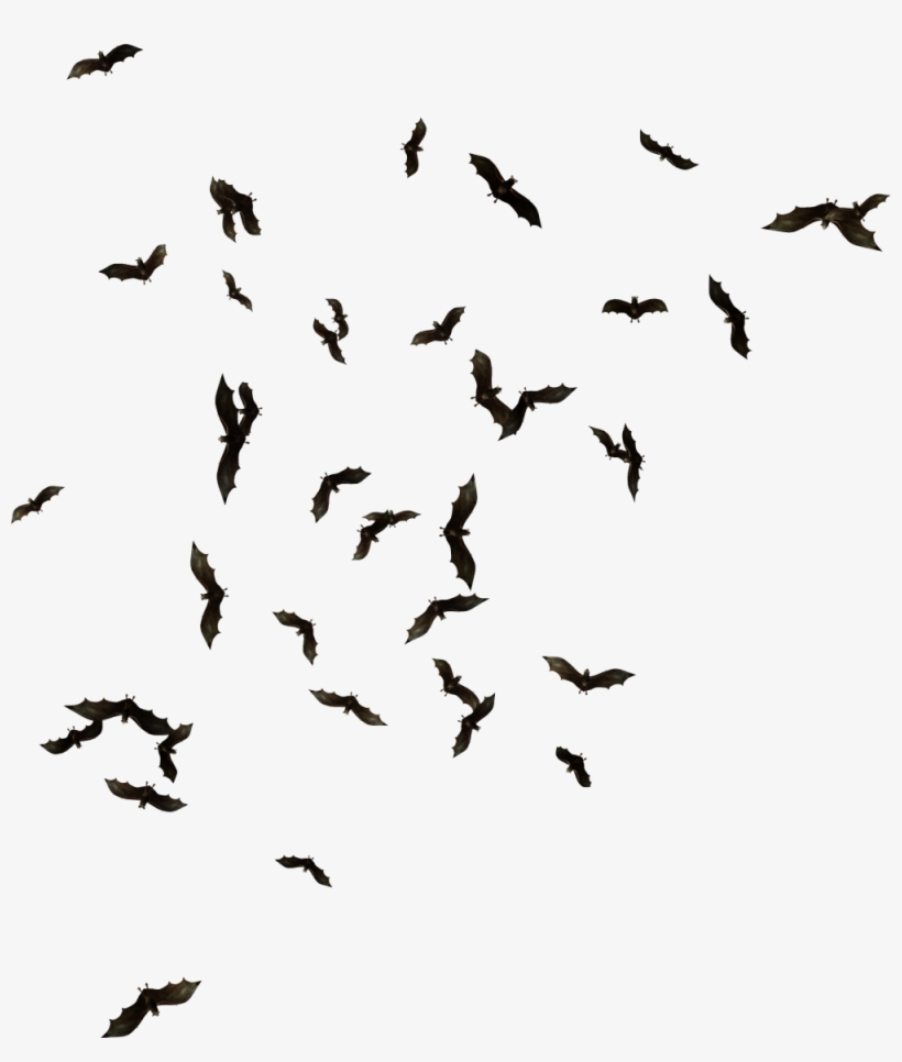 Detail Bats Png Nomer 20