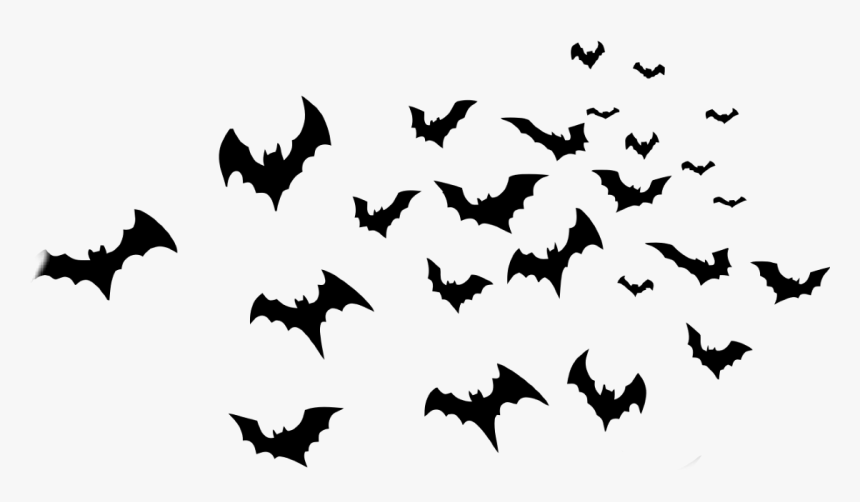 Detail Bats Png Nomer 3