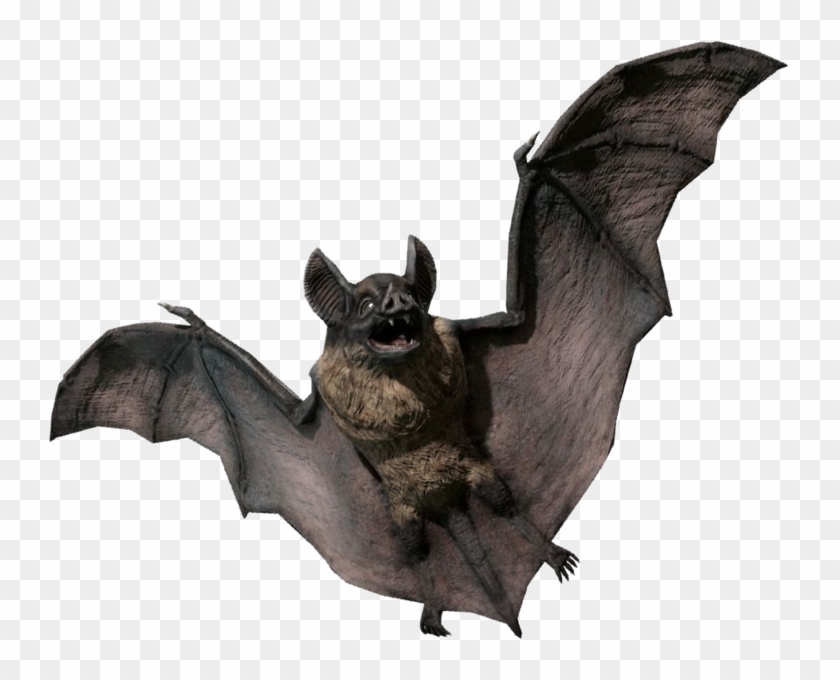 Detail Bats Png Nomer 33