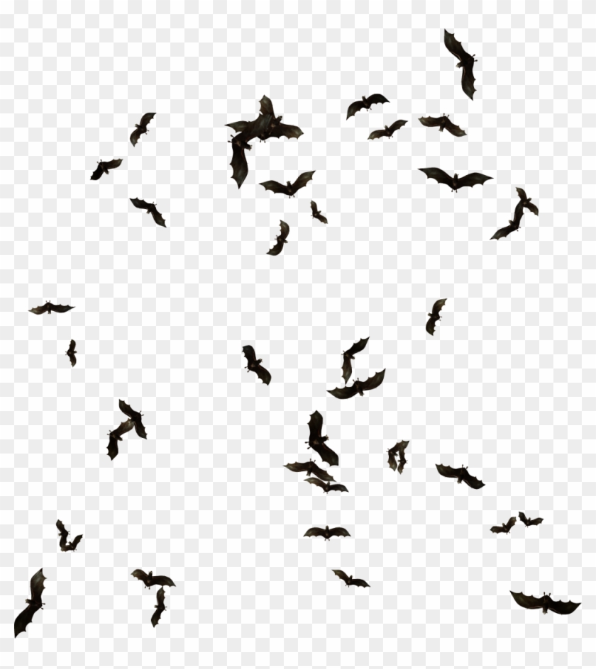 Detail Bats Png Nomer 44