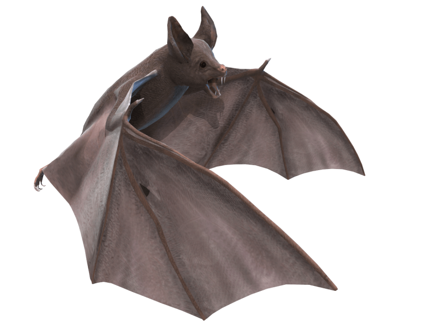 Detail Bats Png Nomer 47