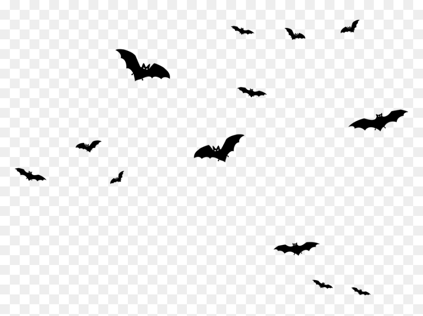 Detail Bats Png Nomer 48