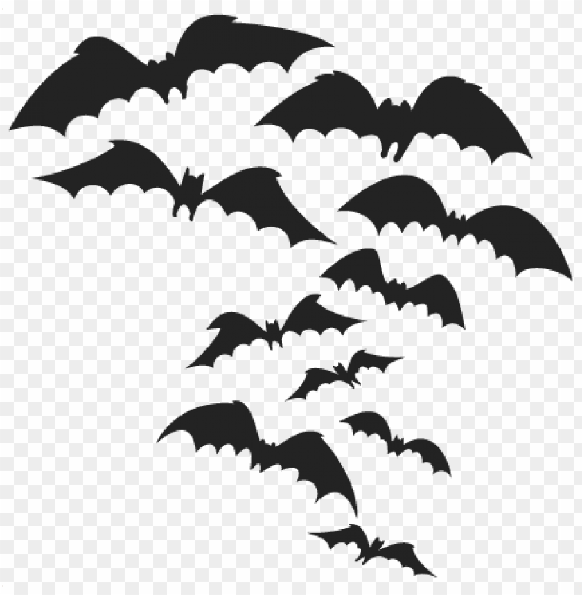 Detail Bats Transparent Nomer 23