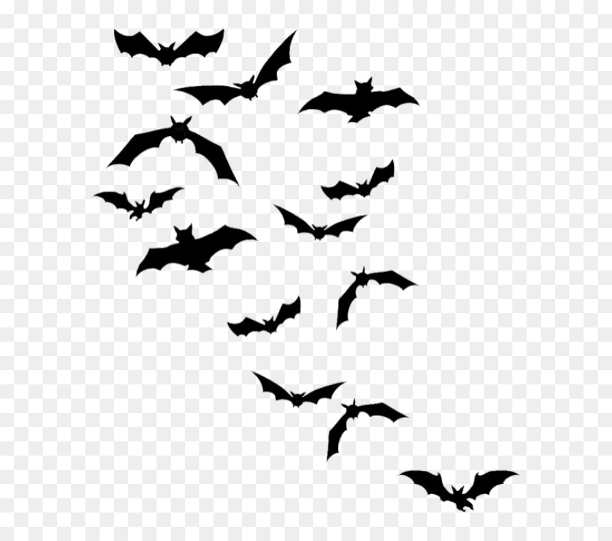 Detail Bats Transparent Nomer 26