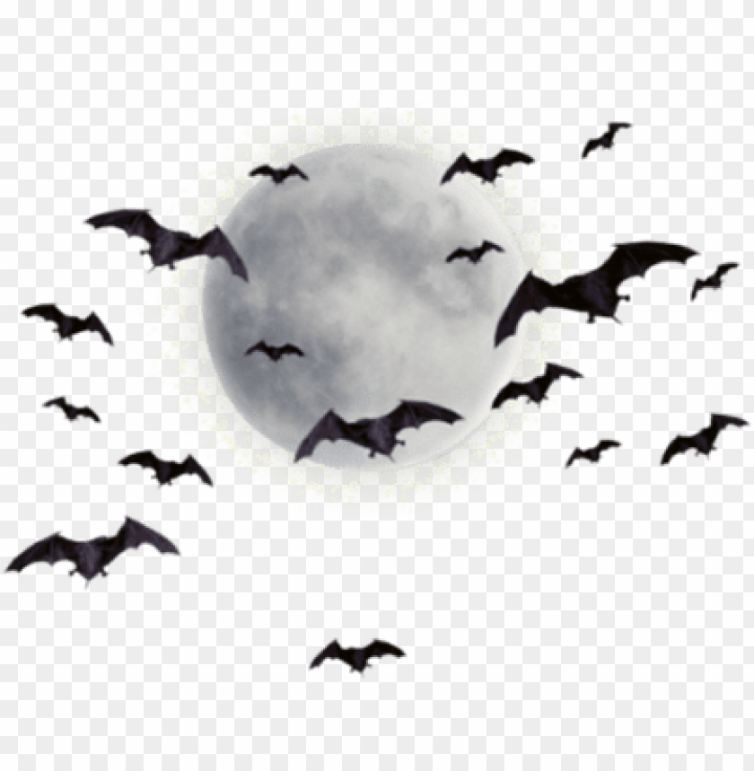 Detail Bats Transparent Nomer 4
