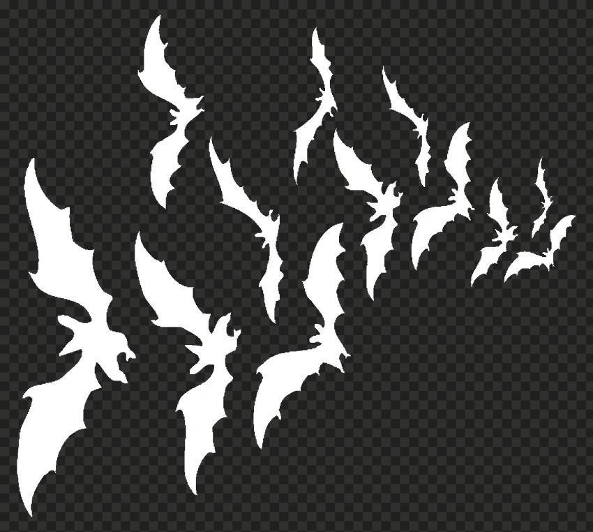 Detail Bats Transparent Nomer 44