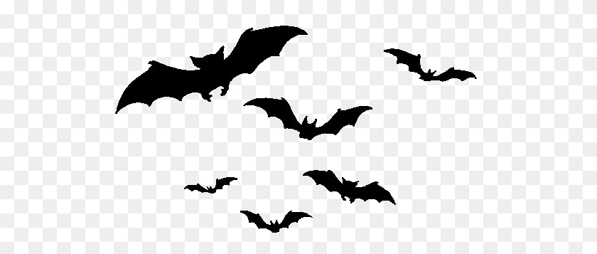Detail Bats Transparent Background Nomer 21