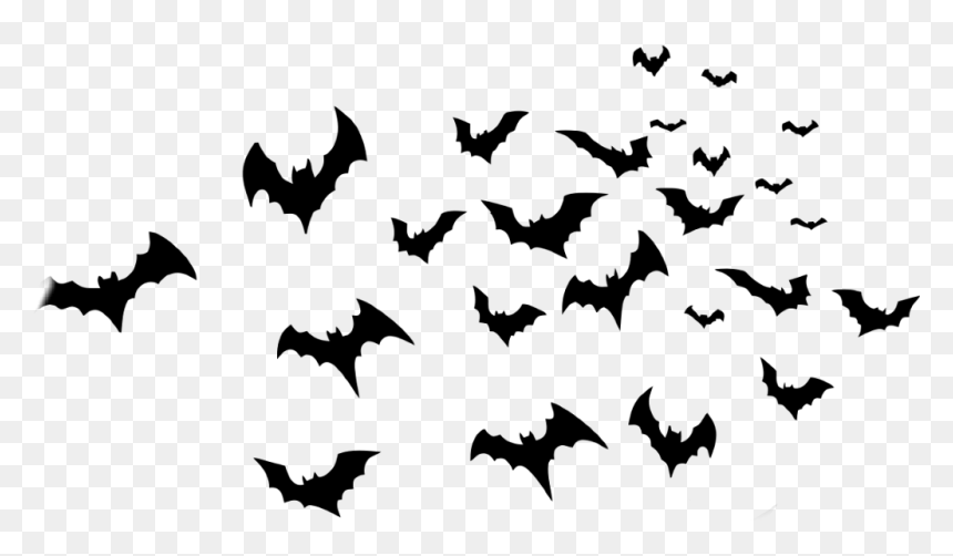 Detail Bats Transparent Background Nomer 6