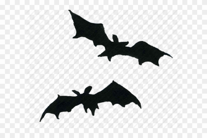 Detail Bats Transparent Background Nomer 53