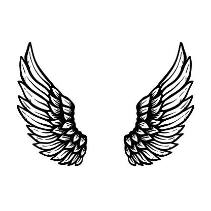 Detail Design Angel Wings Nomer 12