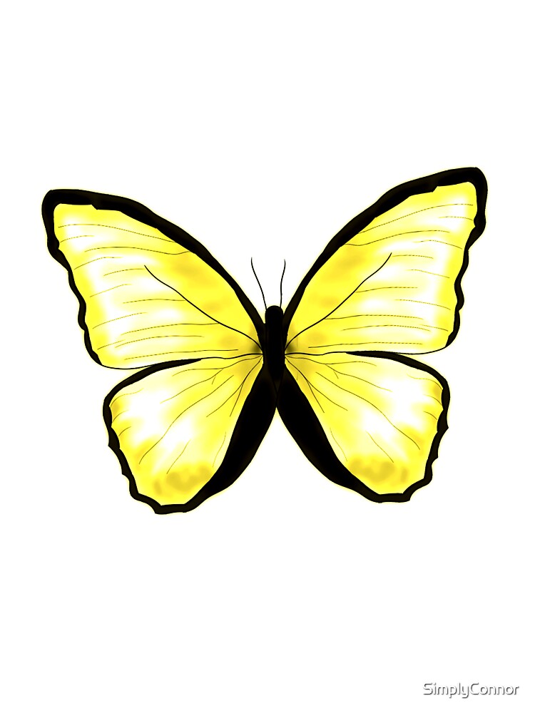 Detail Schwarz Gelber Schmetterling Nomer 7