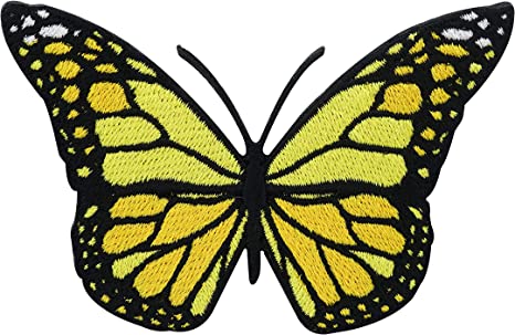 Detail Schwarz Gelber Schmetterling Nomer 8