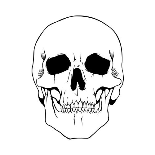 Detail Skull Art Nomer 9
