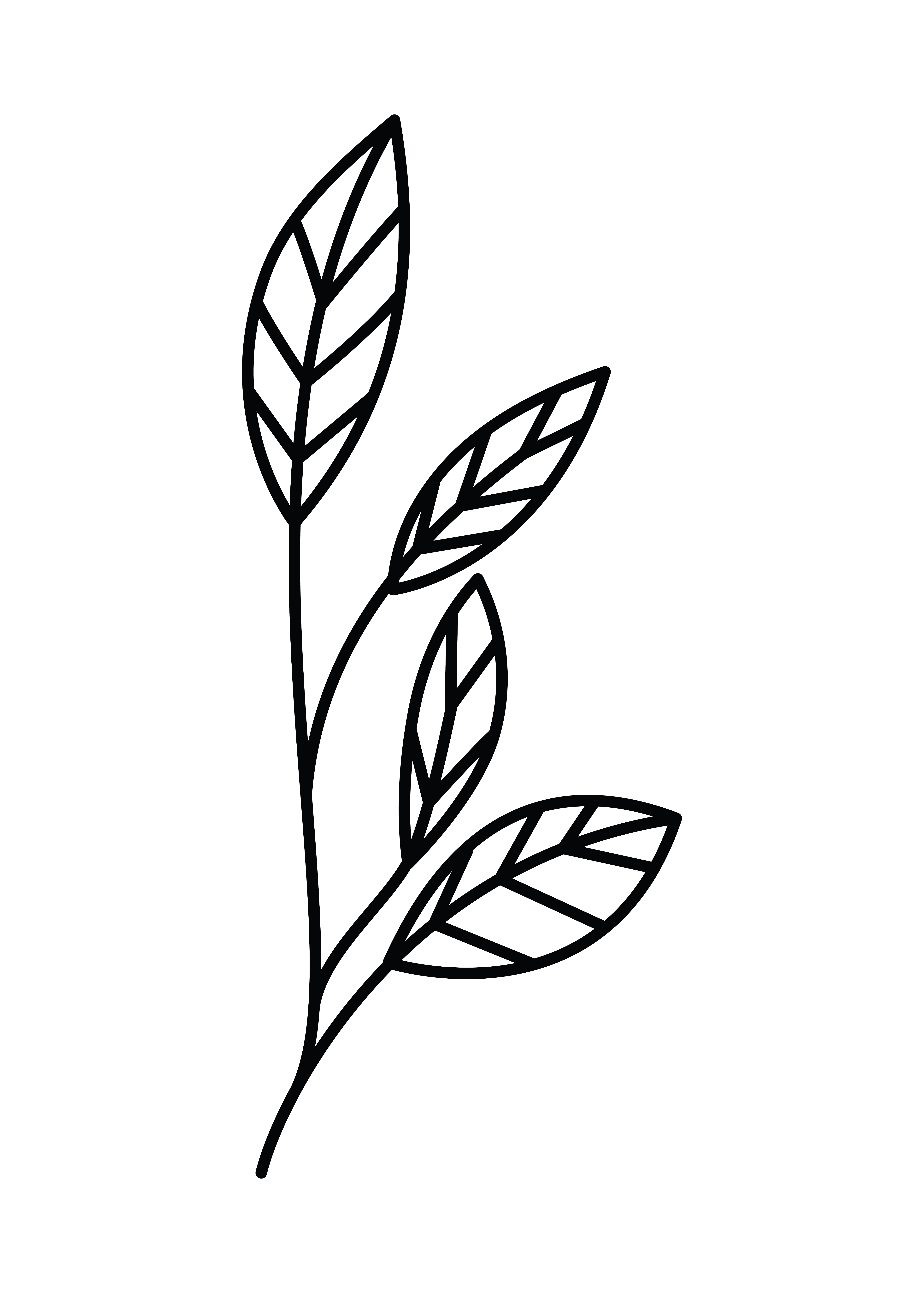 Detail Tattoo Plant Nomer 5