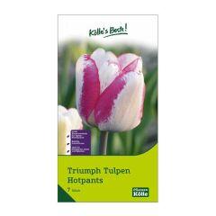 Detail Tulpe Beschriften Nomer 16