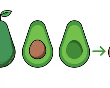 Detail Crepes Avocado Nomer 20