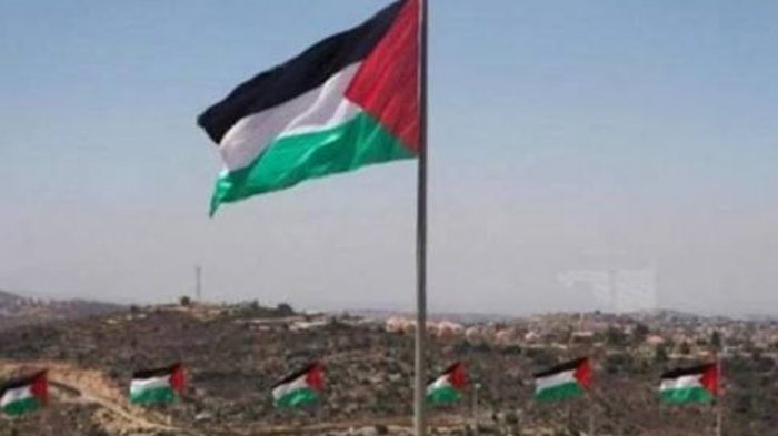 Detail Foto Foto Bendera Palestina Nomer 35