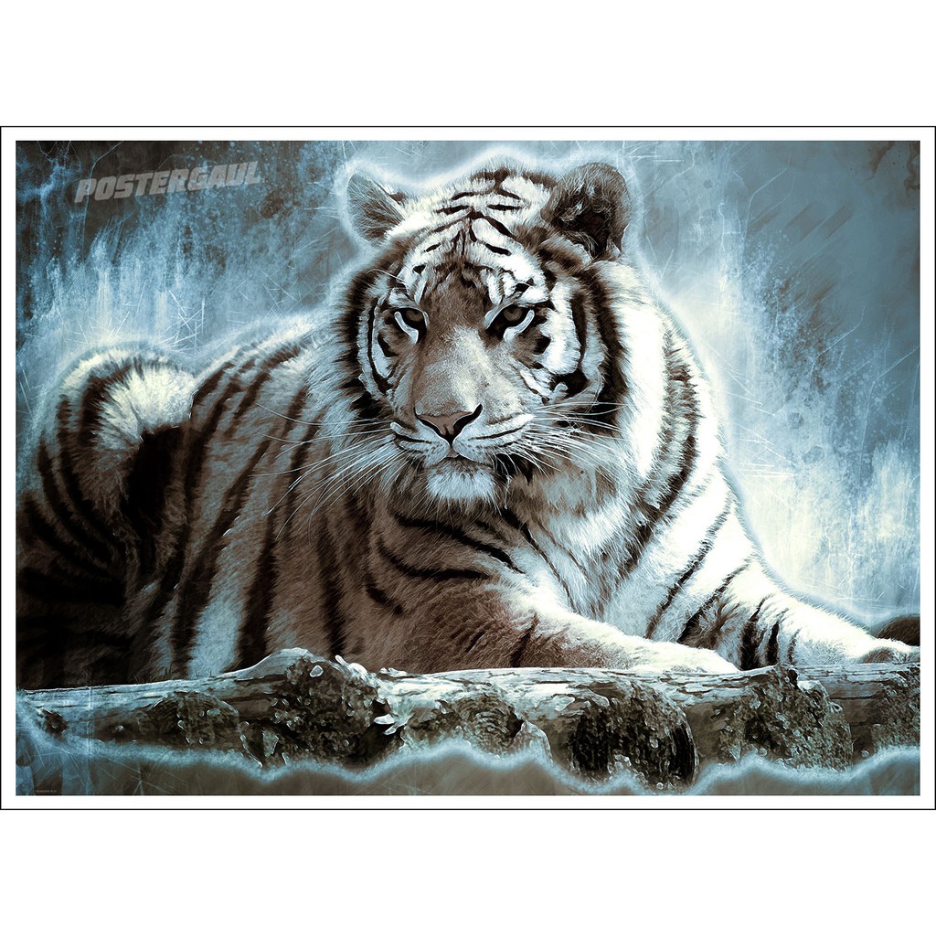 Detail Foto Foto Harimau Putih Nomer 15