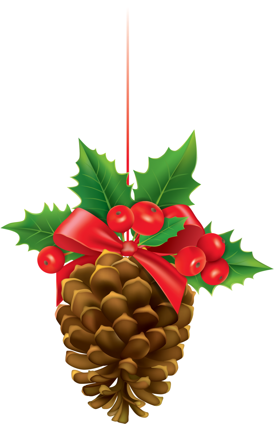 Detail Pine Cone Png Nomer 12