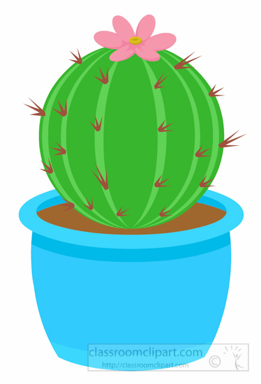 Round Cactus Png - KibrisPDR