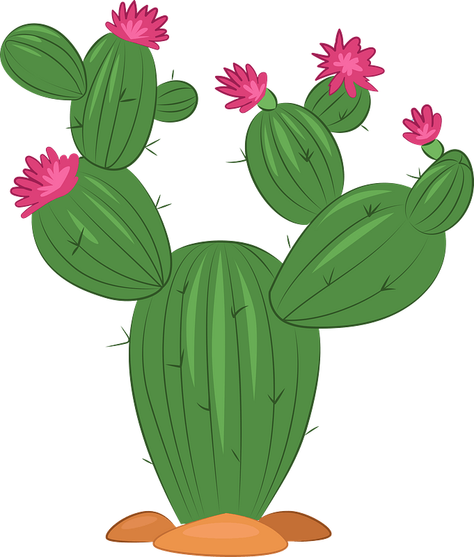 Detail Round Cactus Png Nomer 6