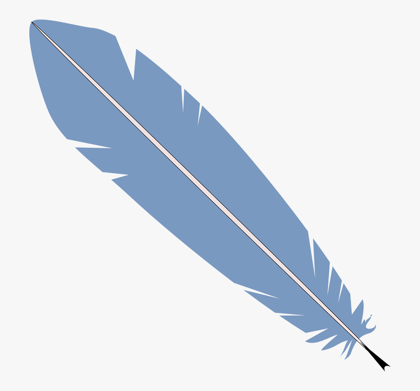 Detail Transparent Feather Nomer 6