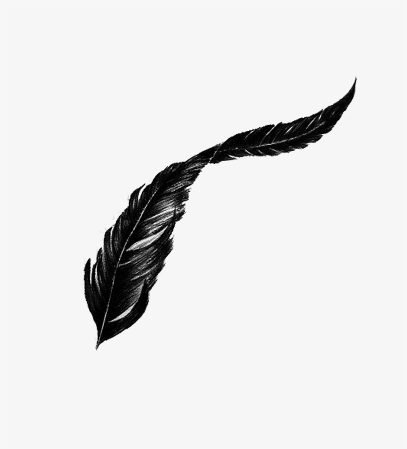 Detail Transparent Feather Nomer 11