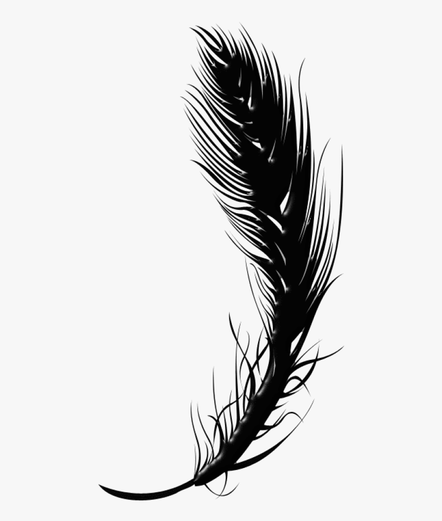Detail Transparent Feather Nomer 12