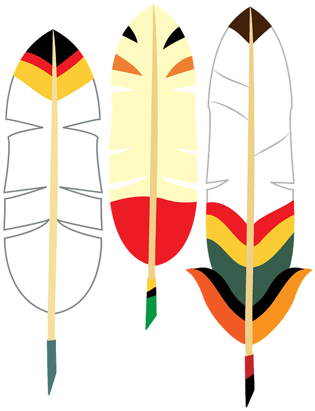 Detail Transparent Feather Nomer 18