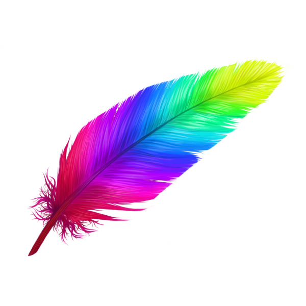 Detail Transparent Feather Nomer 21