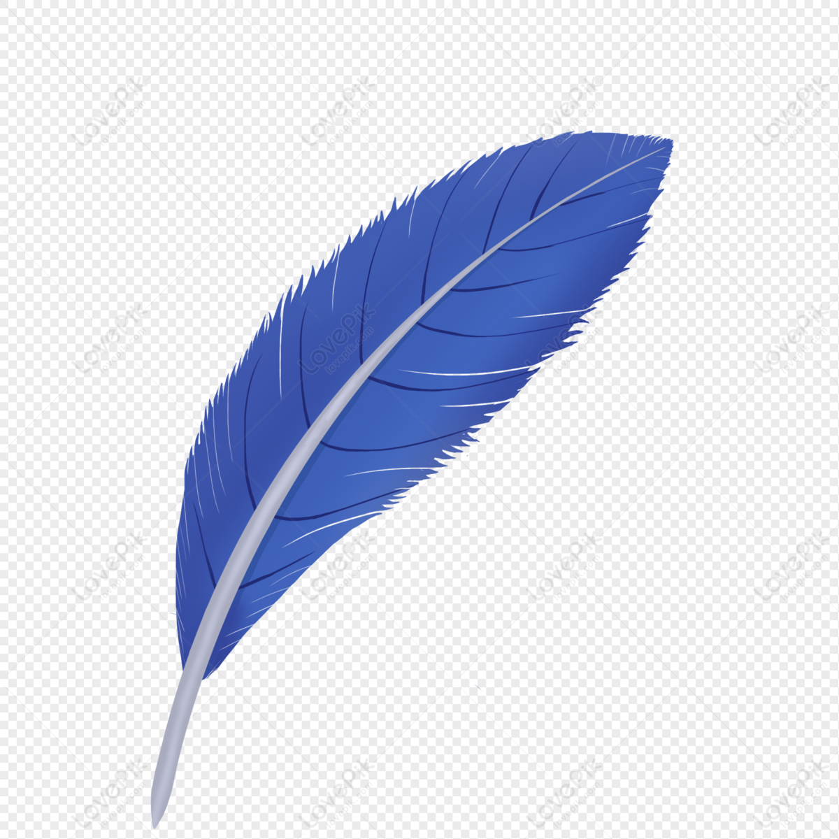Detail Transparent Feather Nomer 22