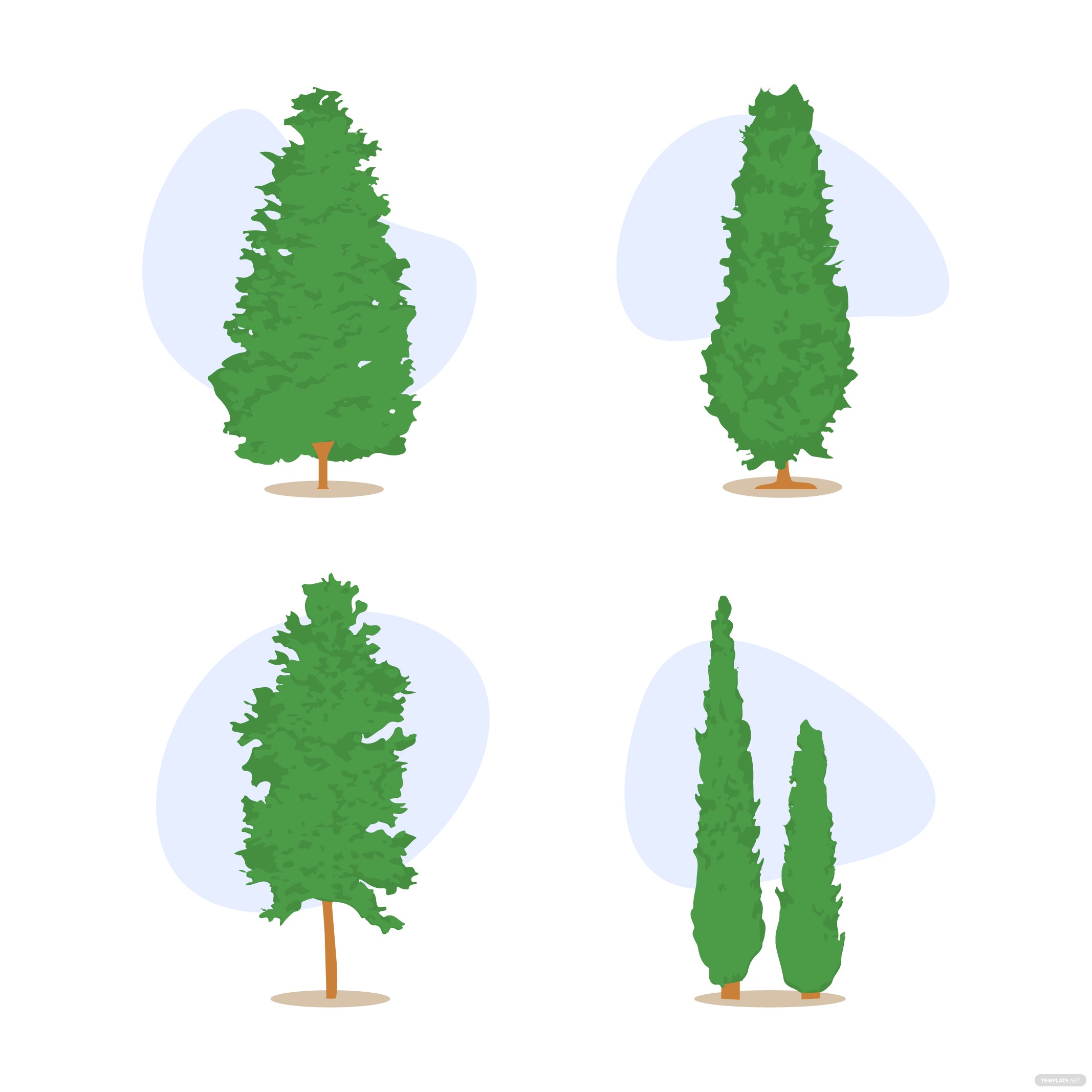 Detail Cypress Tree Clipart Nomer 7