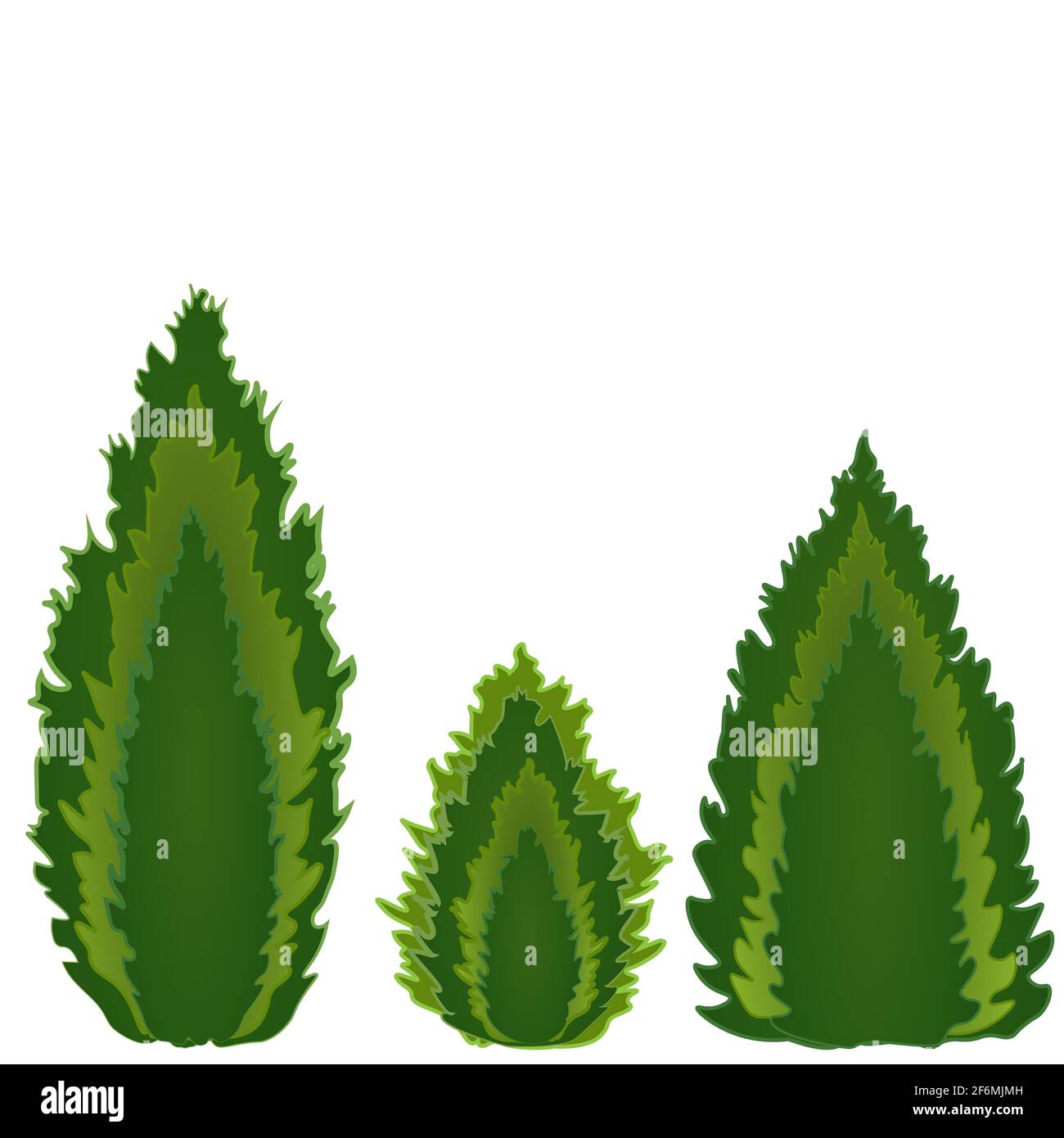 Detail Cypress Tree Clipart Nomer 17